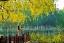 竞猜足球比分怎么算钱-竞猜足球比分怎么算钱，规则解析与收益计算全攻略
